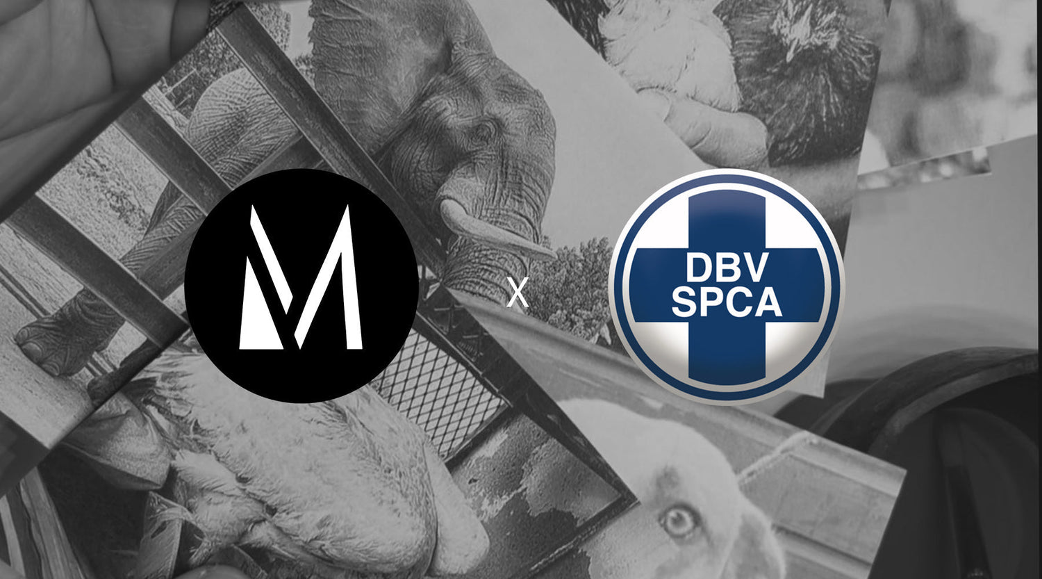Giving Animals a Voice Through Art – A Mandela Day Collaboration with the NSPCA