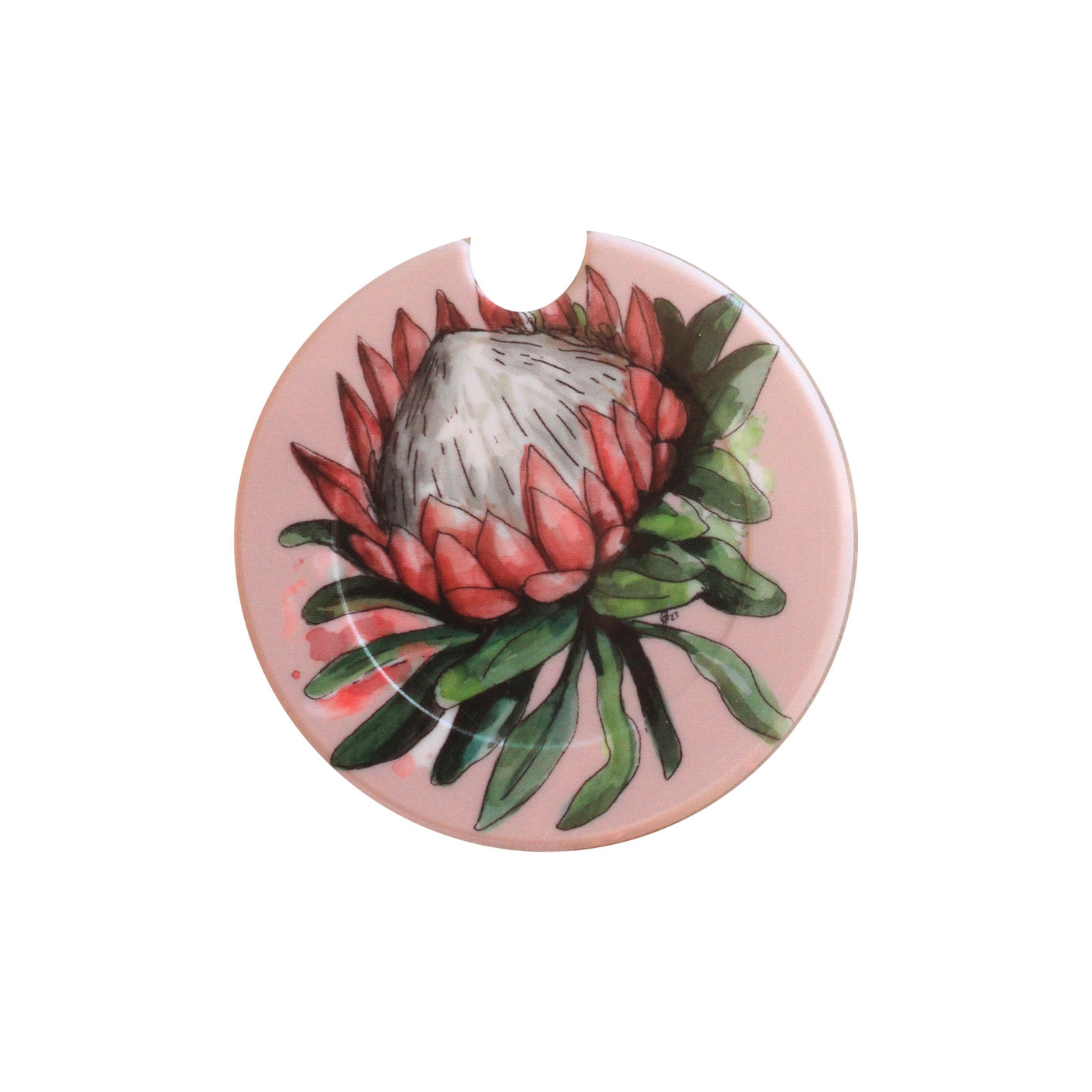 Protea licence disk holder