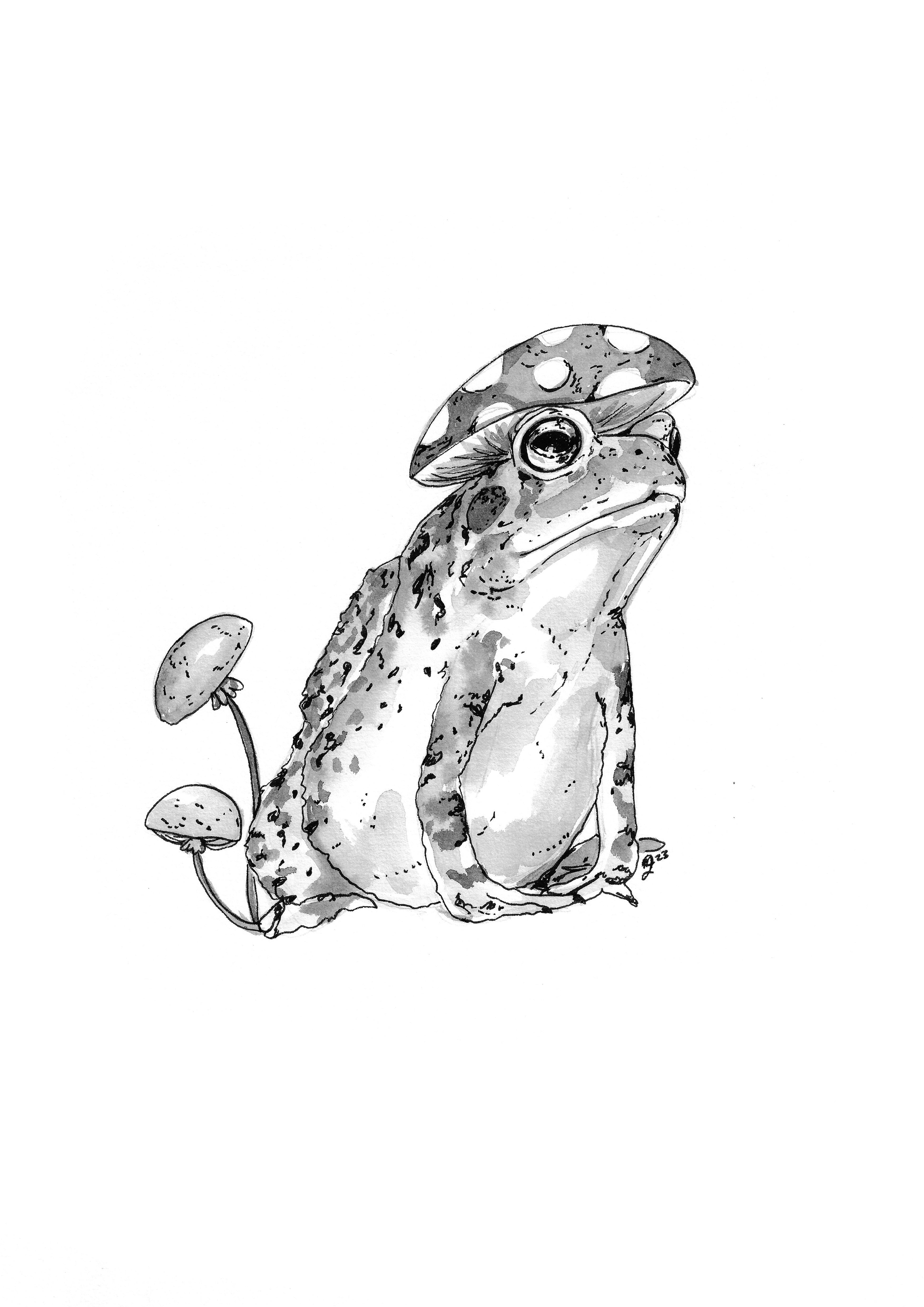 Toad 30cm x 40cm