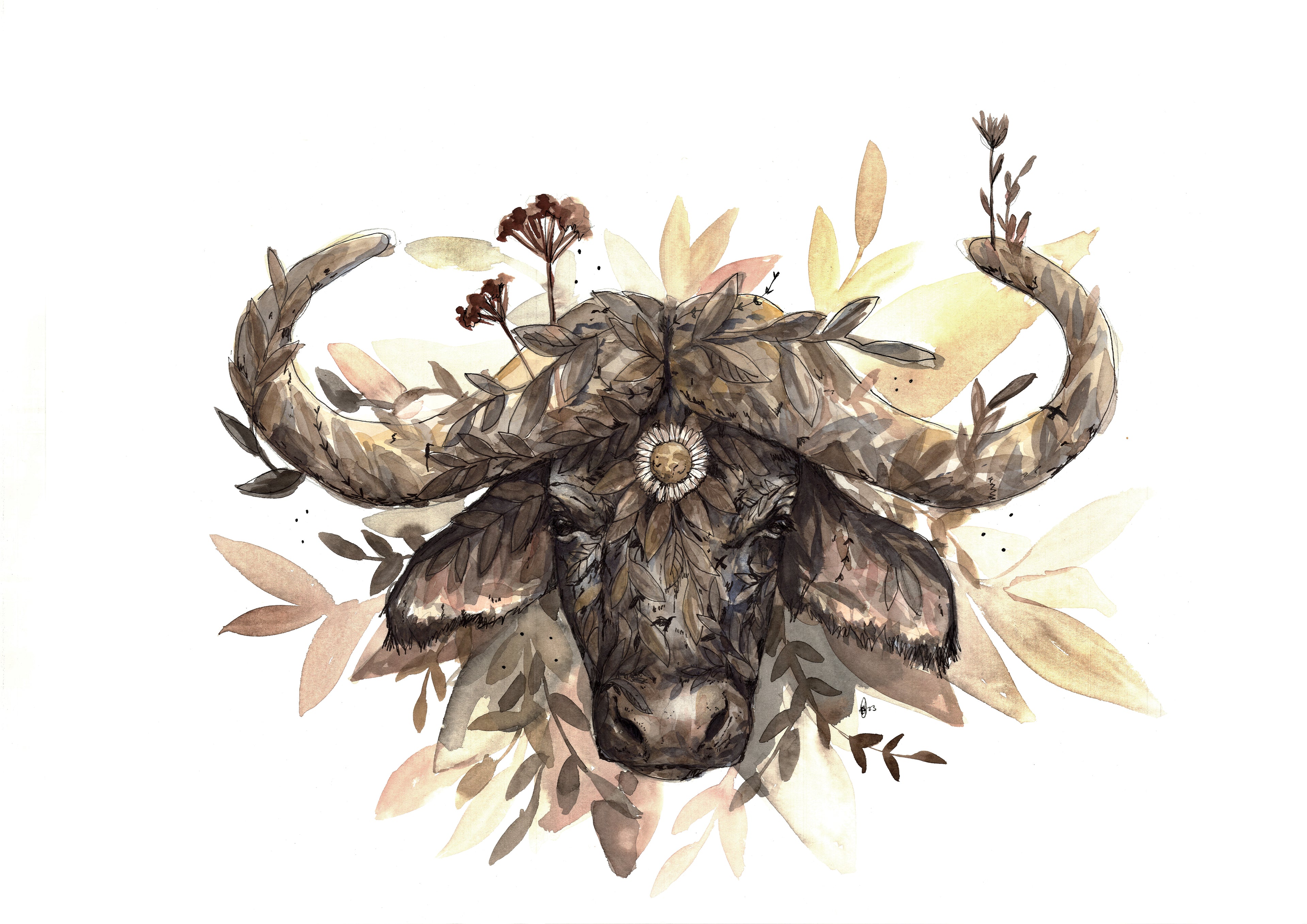 Buffalo A2