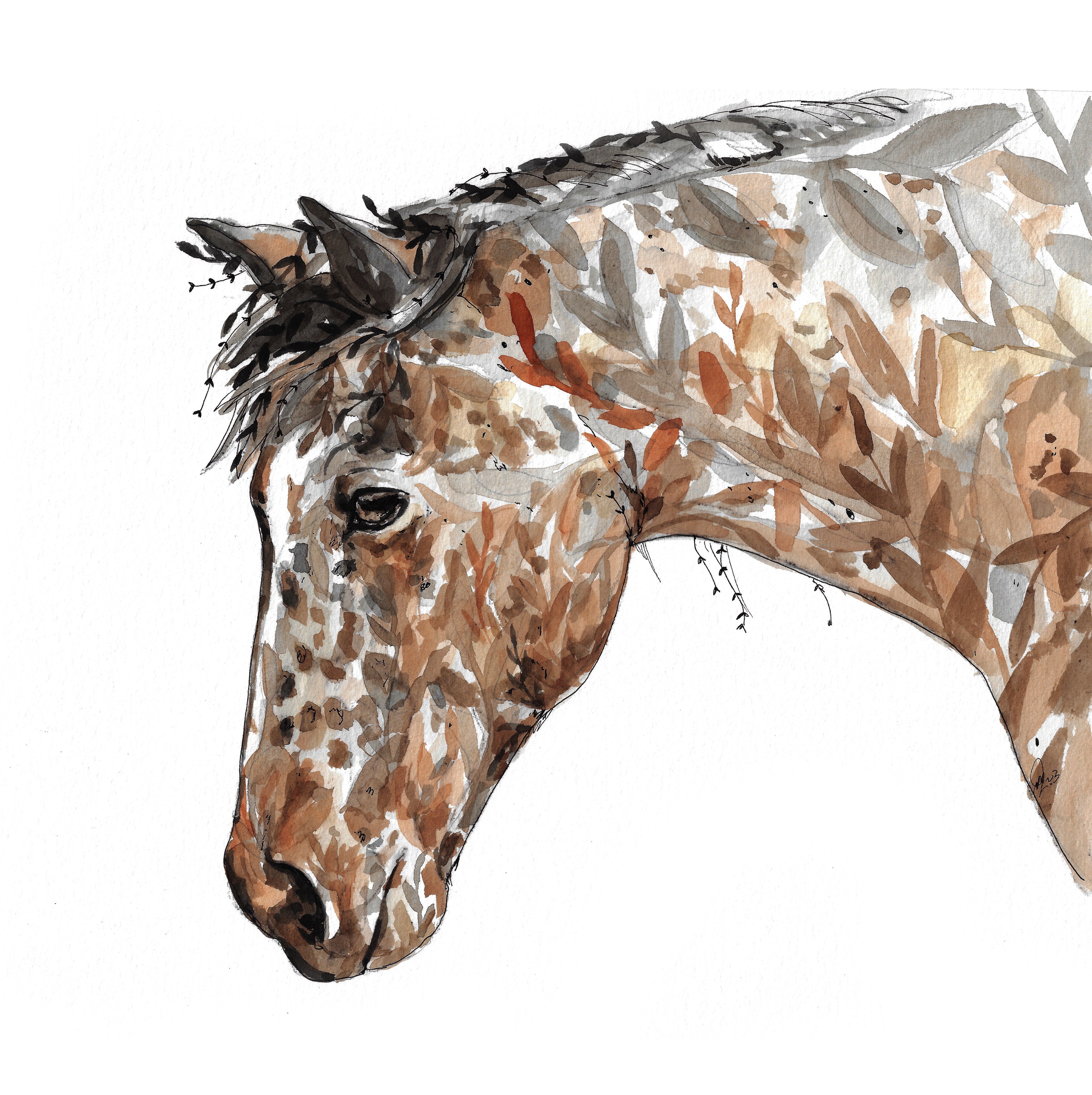 Custom pet portraits