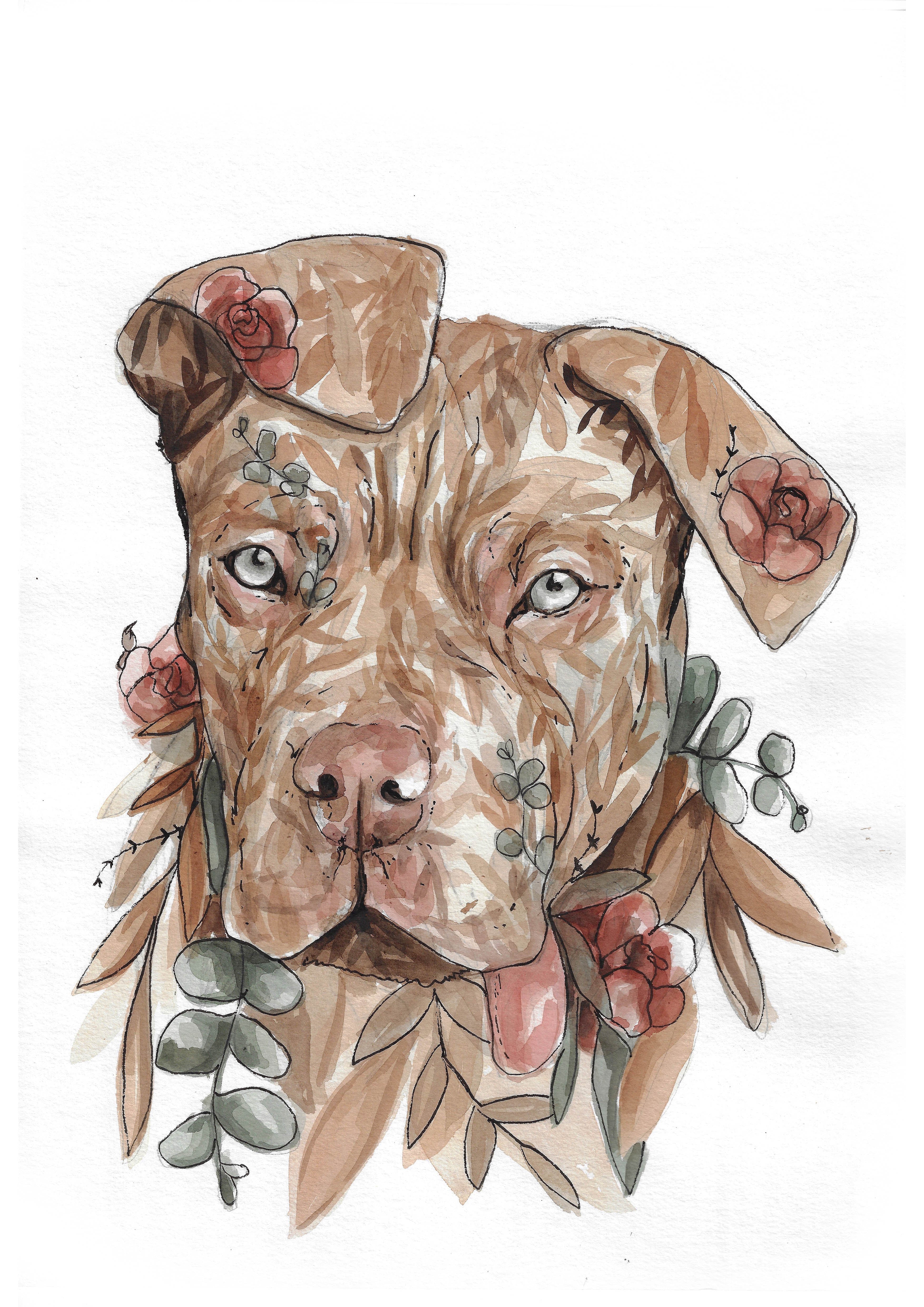 Custom pet portraits