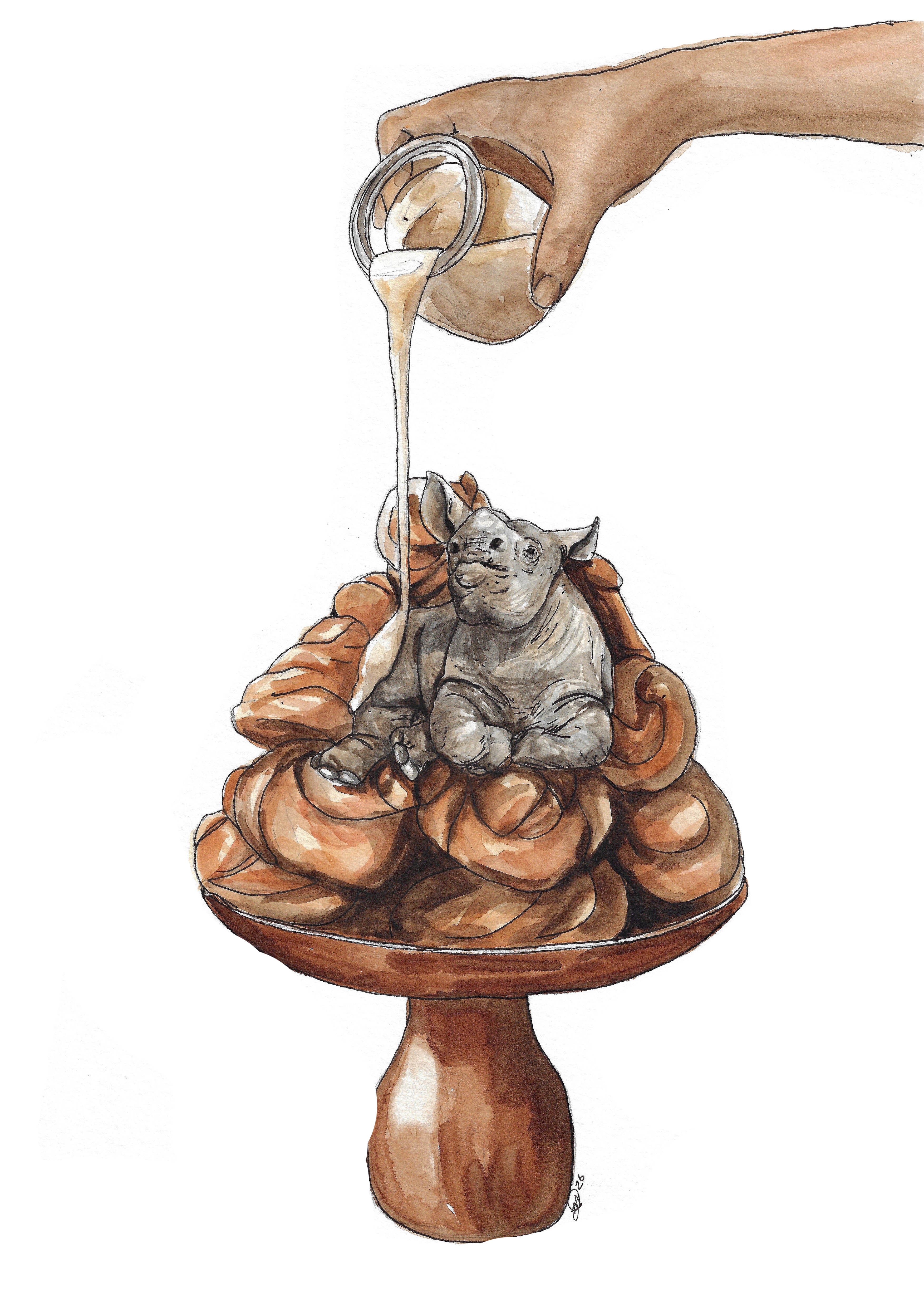 Rhino rolls | A3
