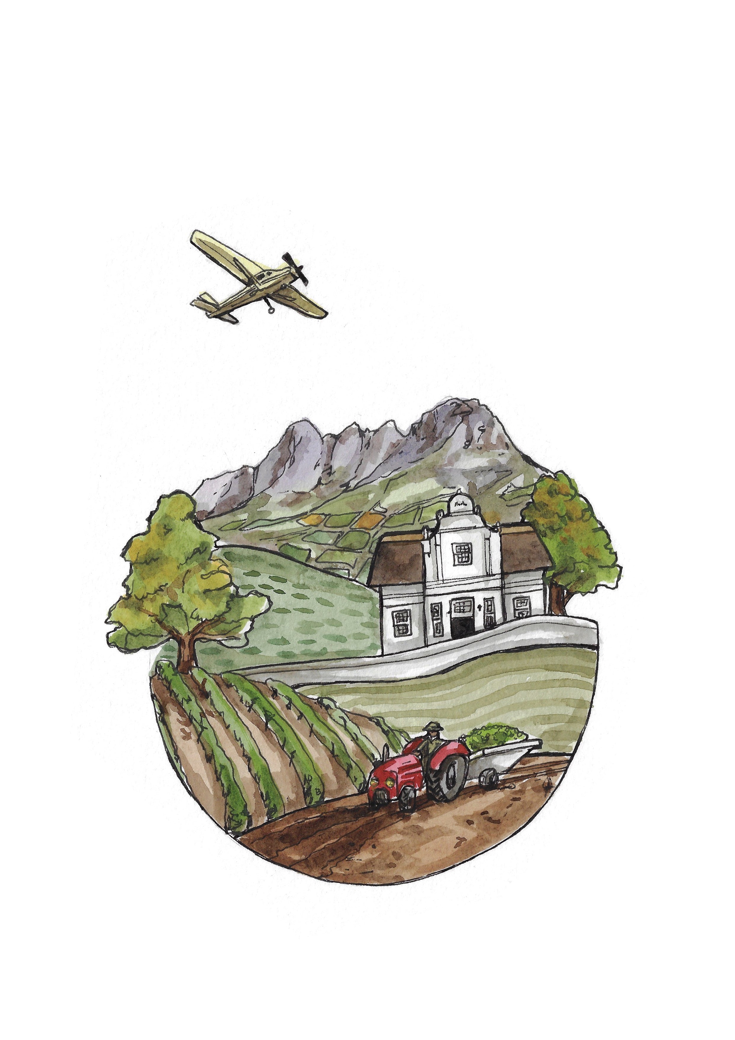 Stellenbosch Winelands