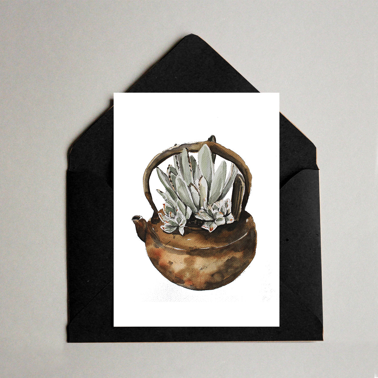 Succulent pack