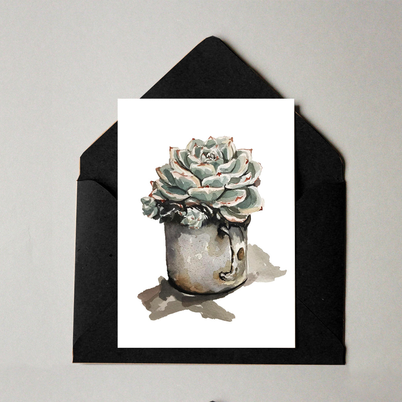 Succulent pack