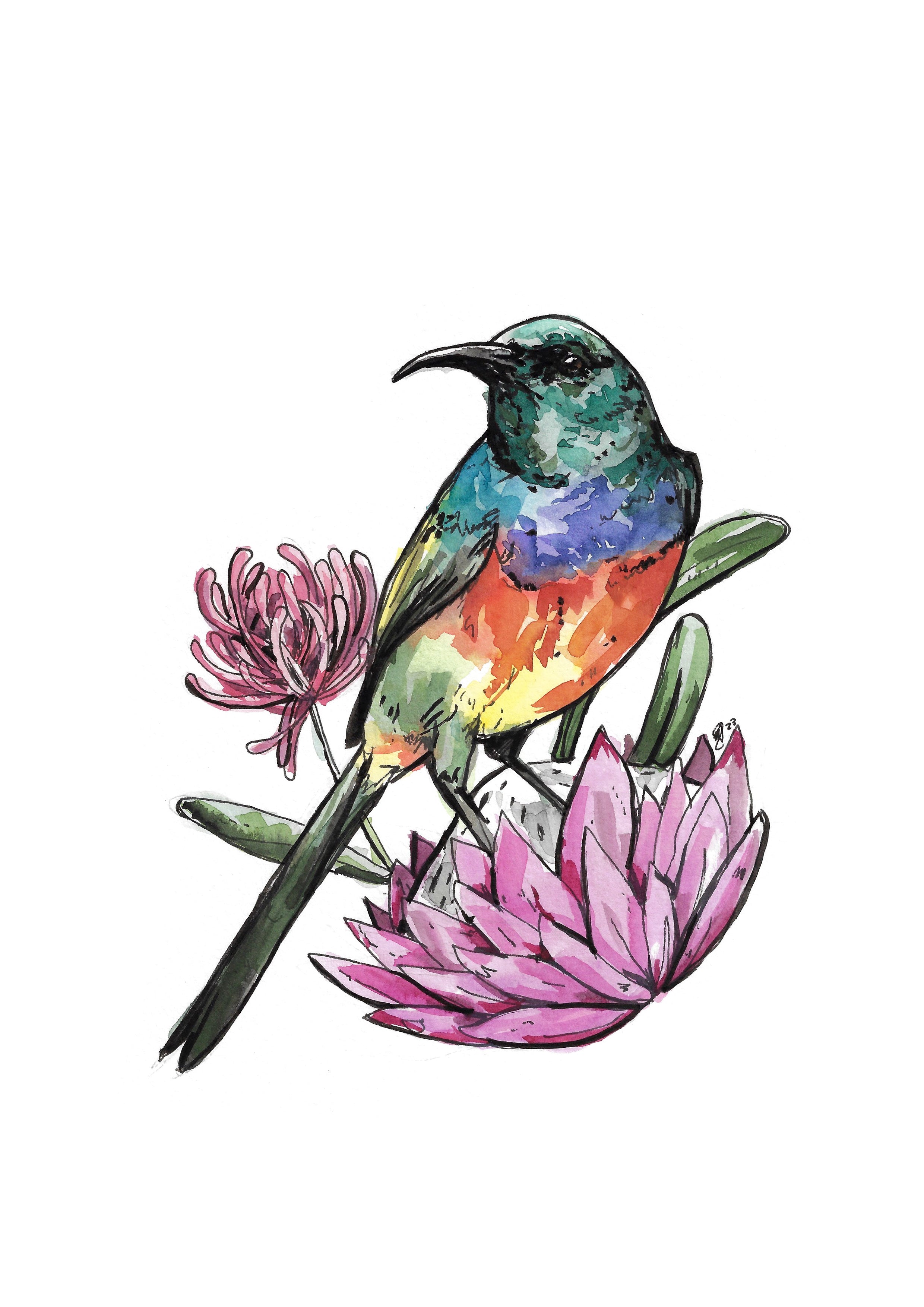 Burst of colour A4
