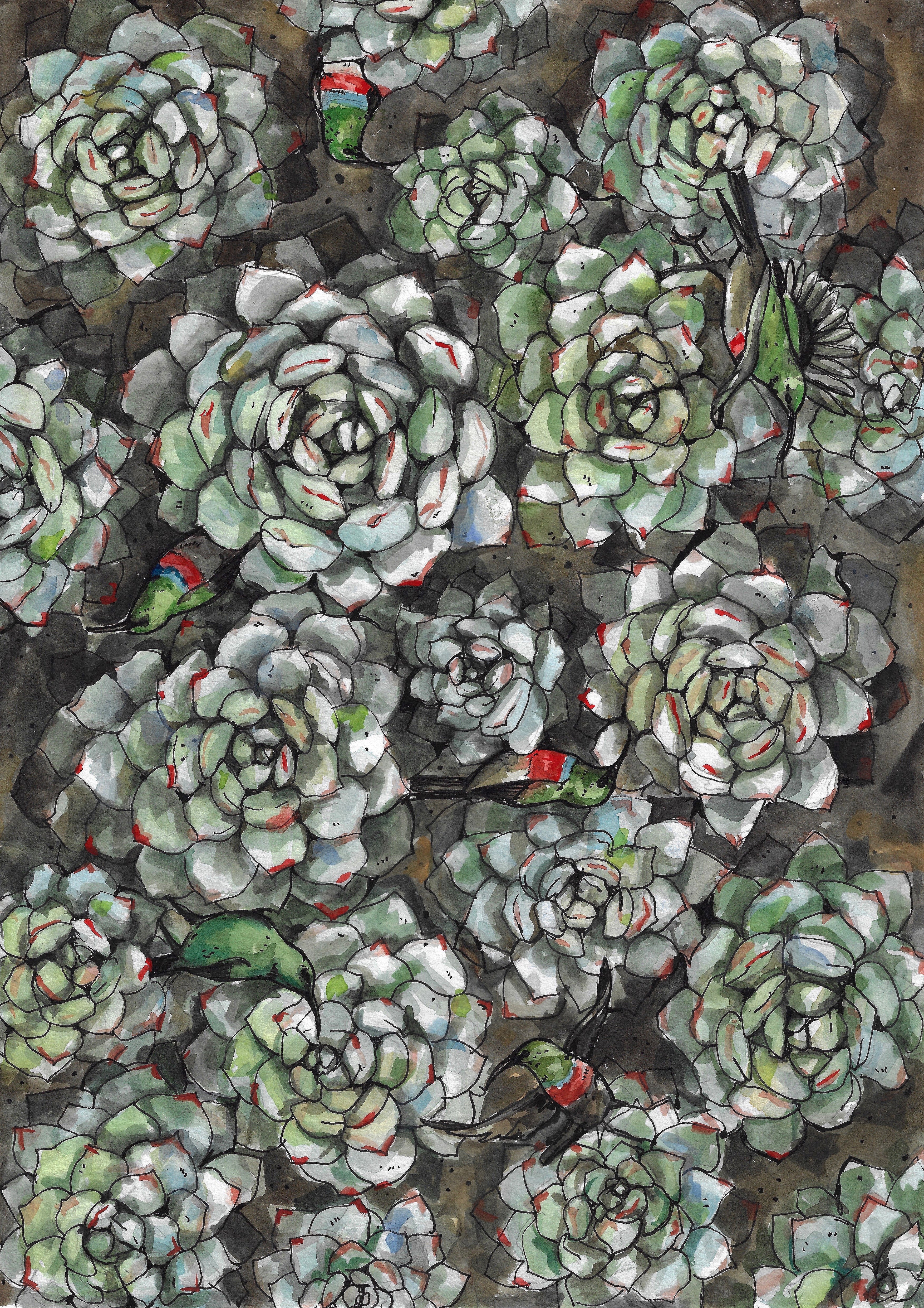 Sunbirds in the roses A3