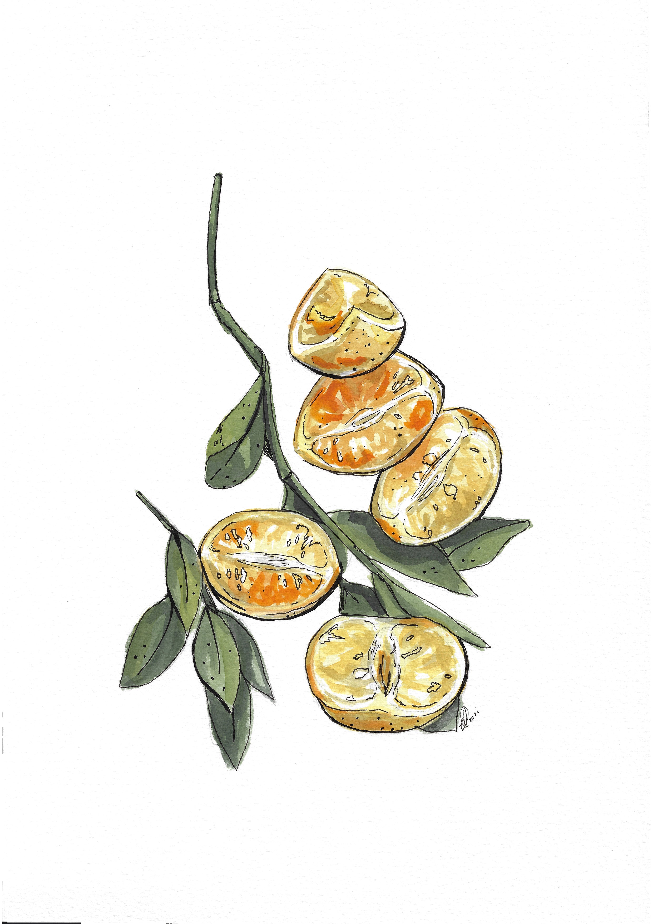 Lemons 37,5cm x 26cm