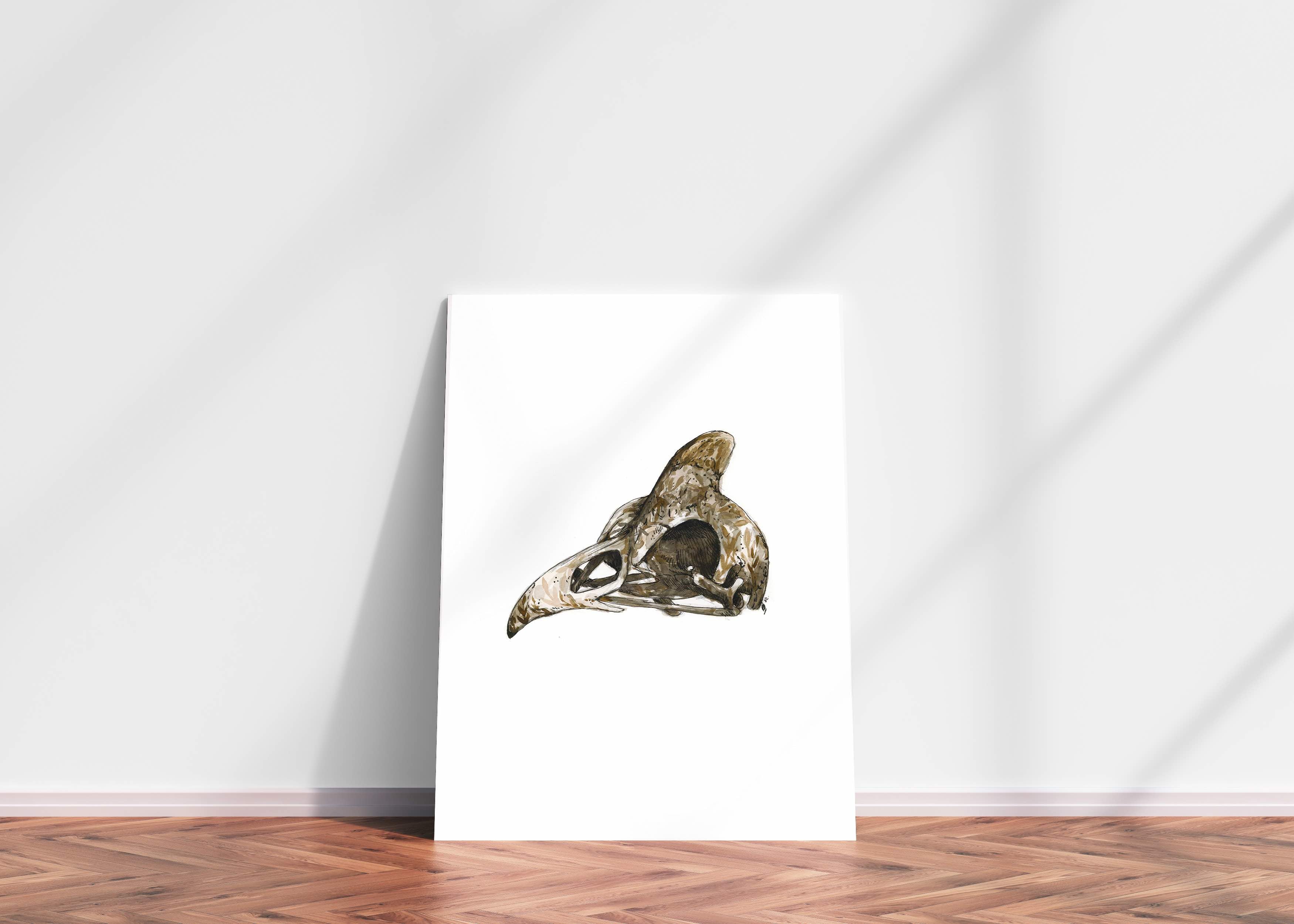 Geniue Fowl Skull A3