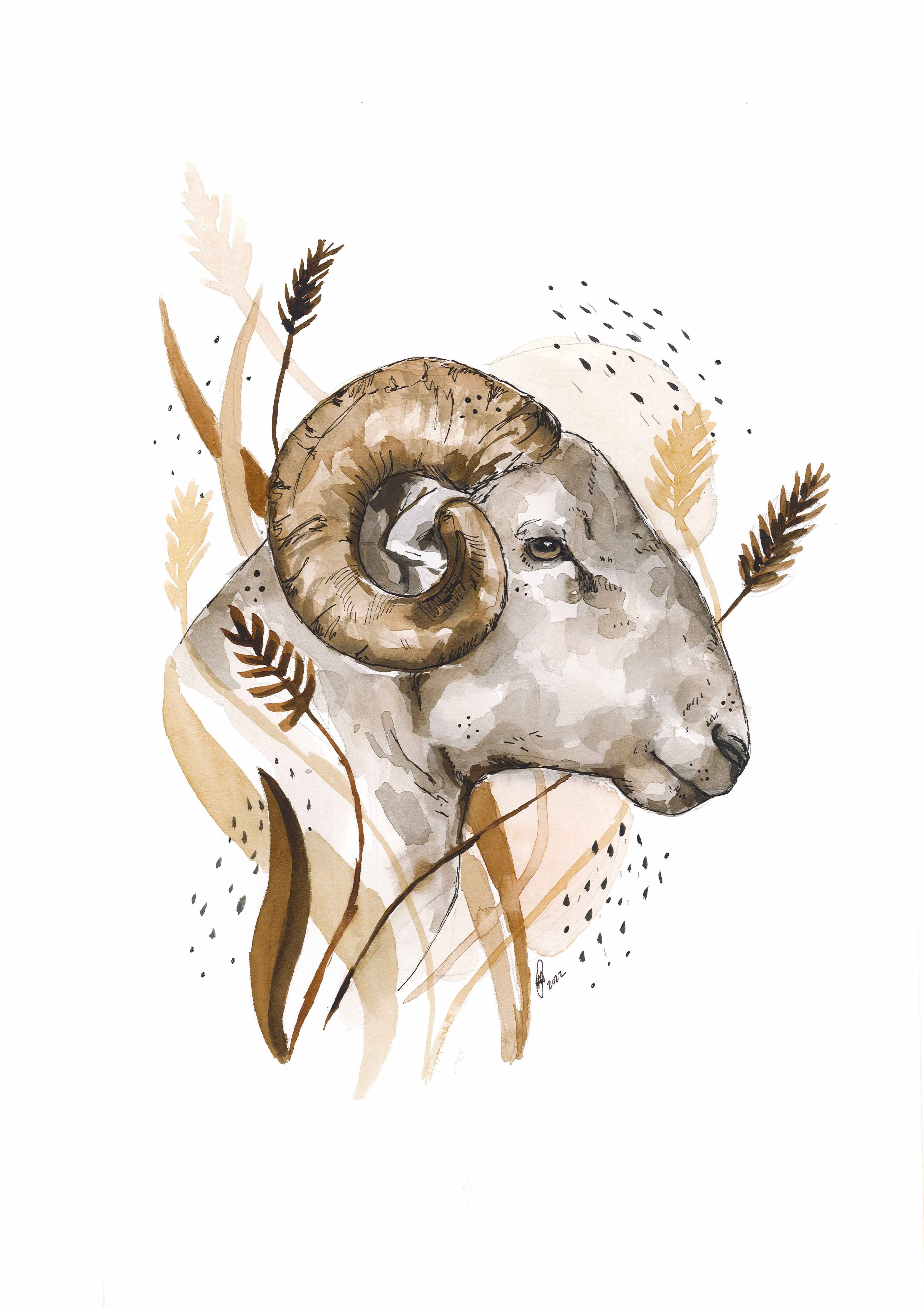 Golden ram A3