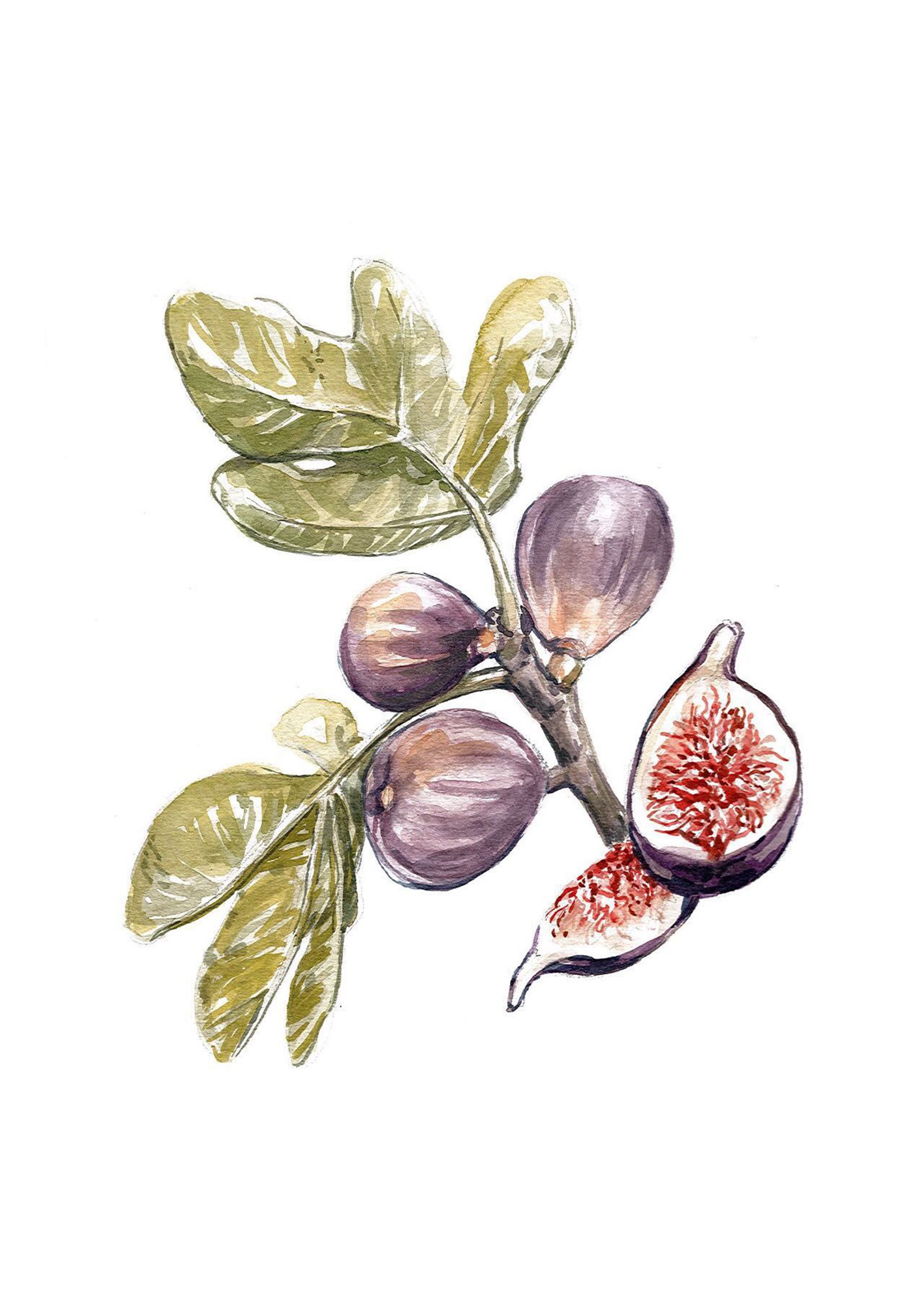 Figs A4