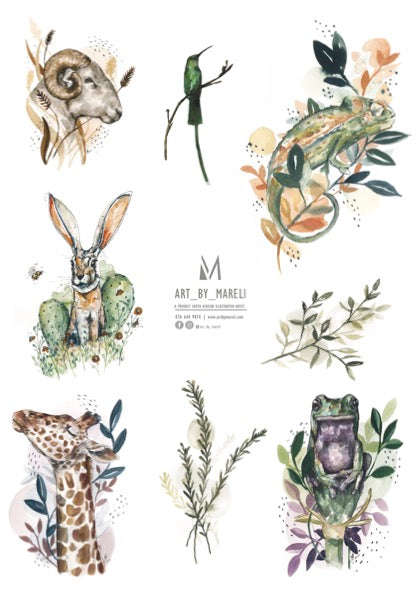 Colourful Animals collection