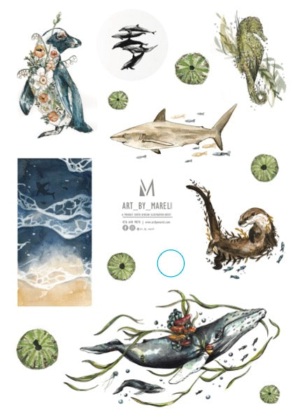Sea collection
