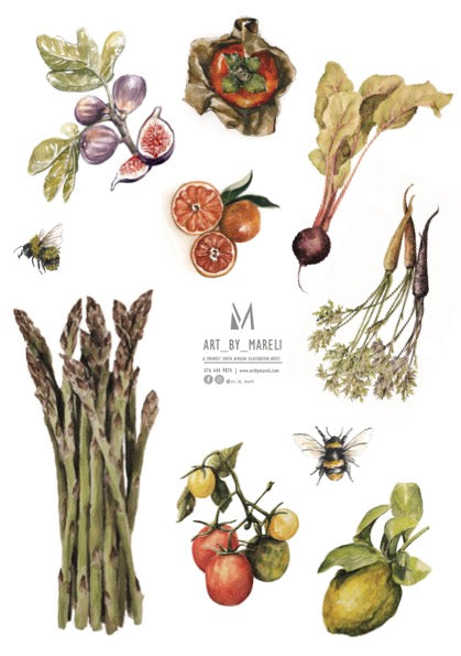 Fruit & veggie collection