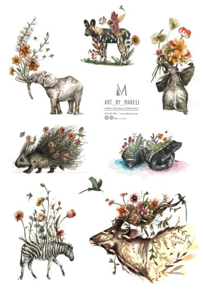 Wildlife & Flowers collection