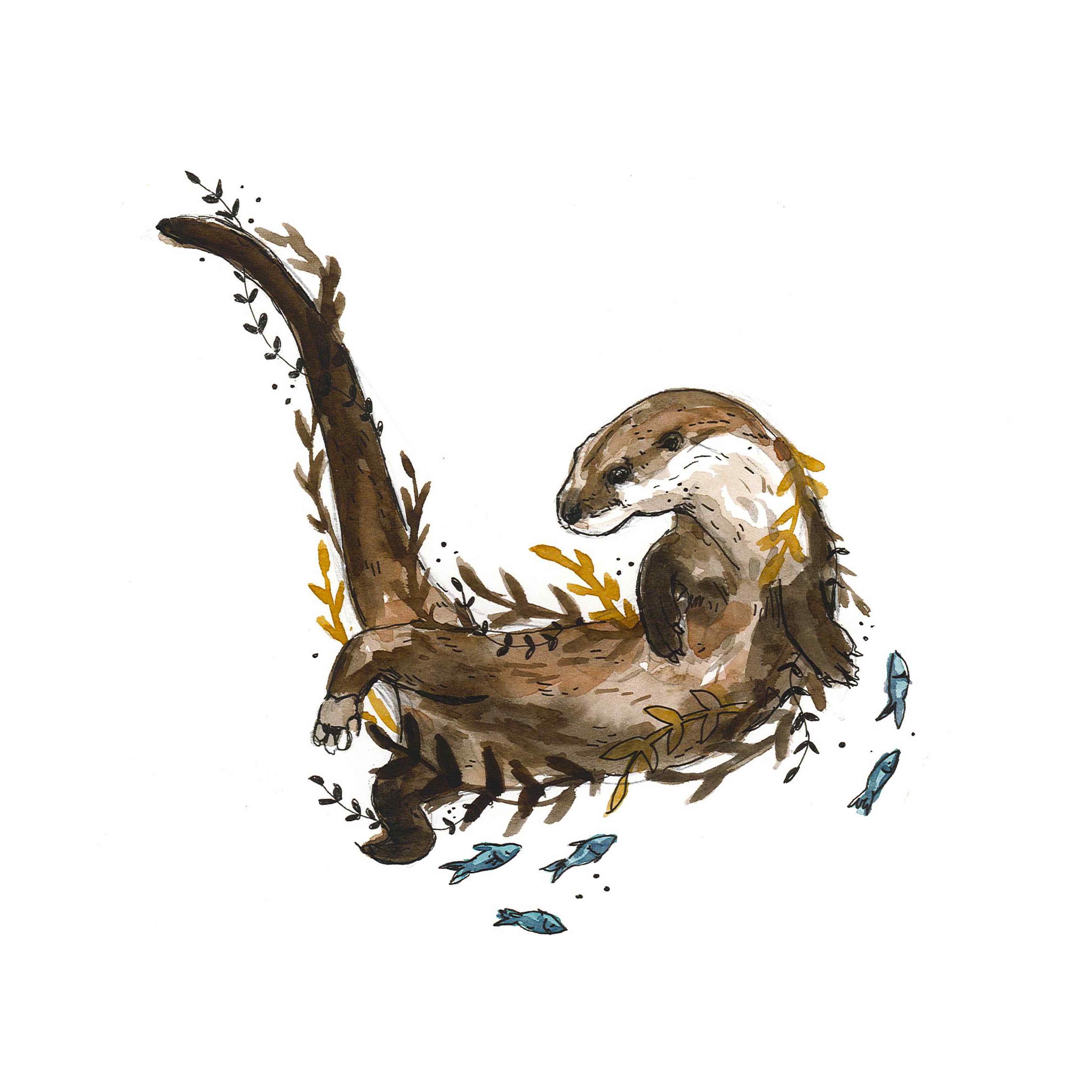Drifting otter