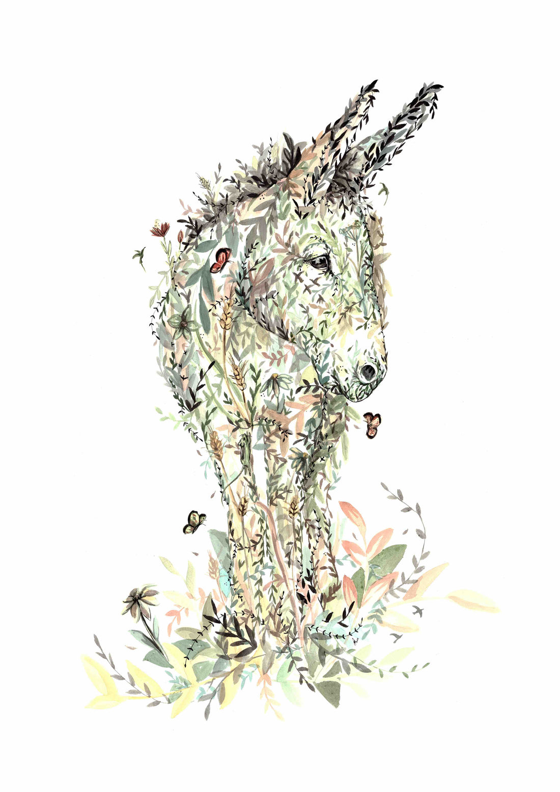Fri Coleen Donkey Portrait