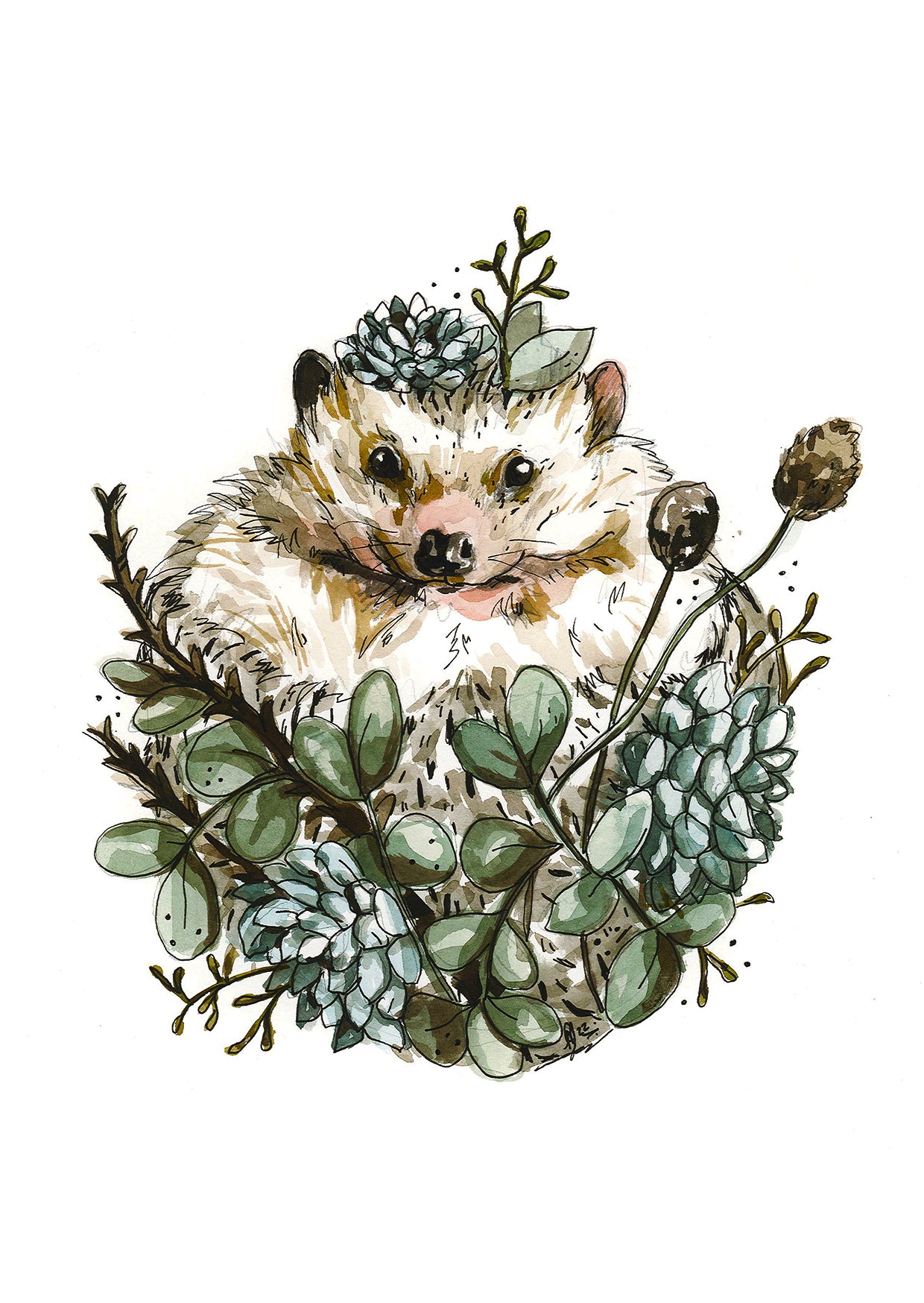 Hedgehog