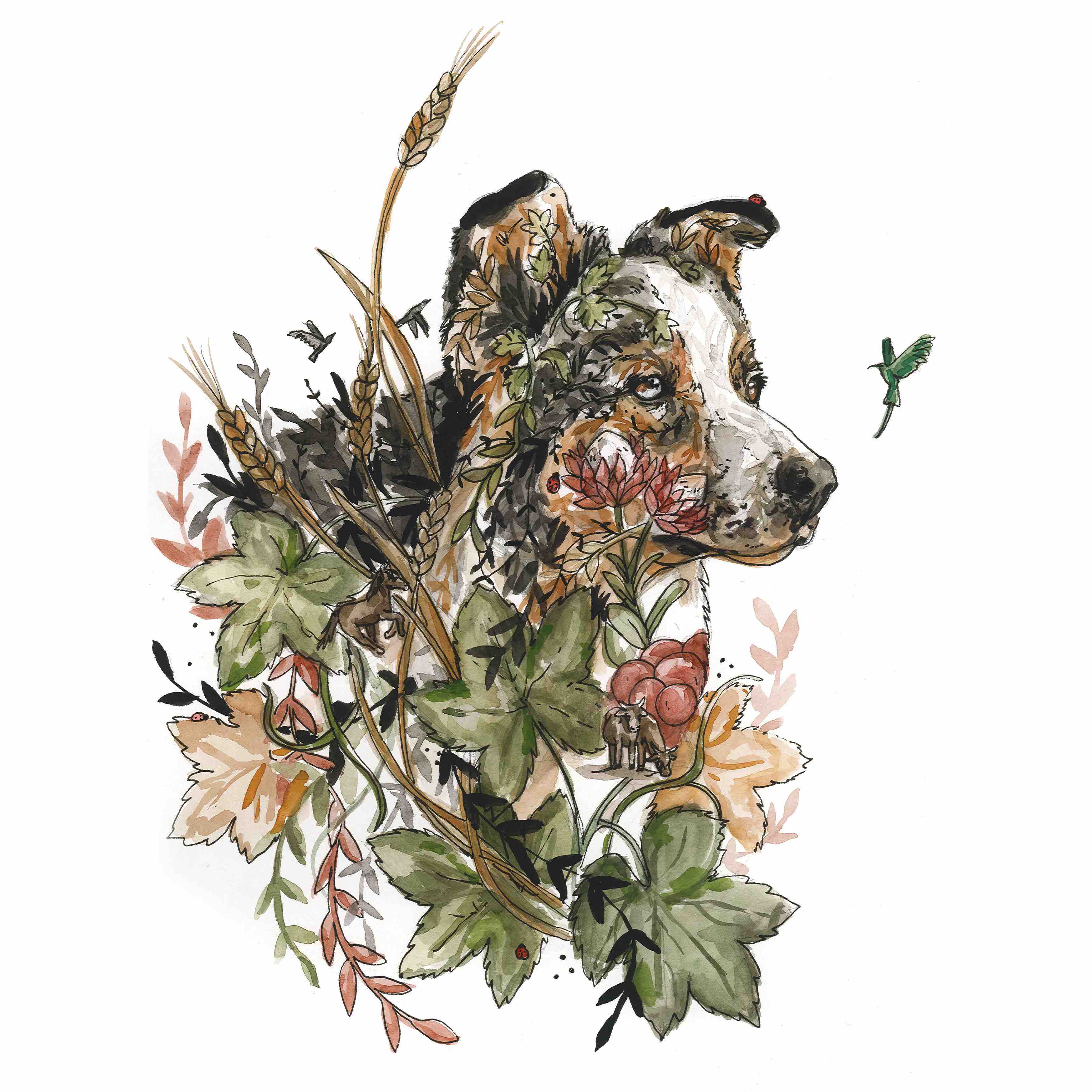 Pet portrait commision