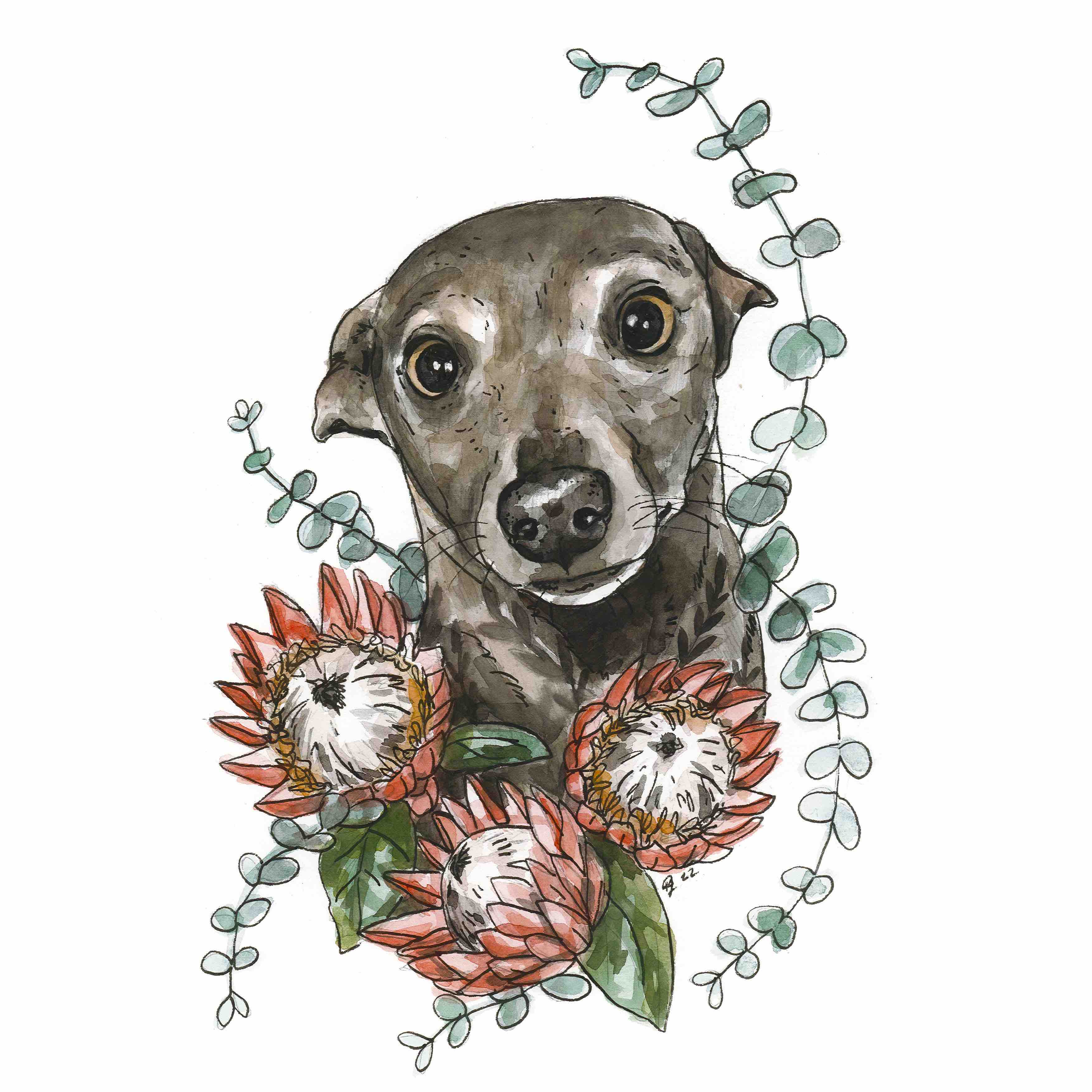 Pet commision