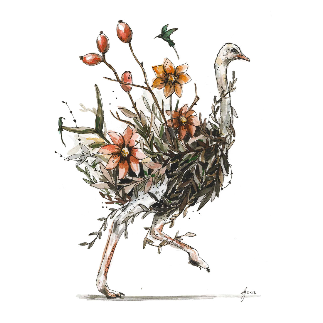 Blooming ostrich