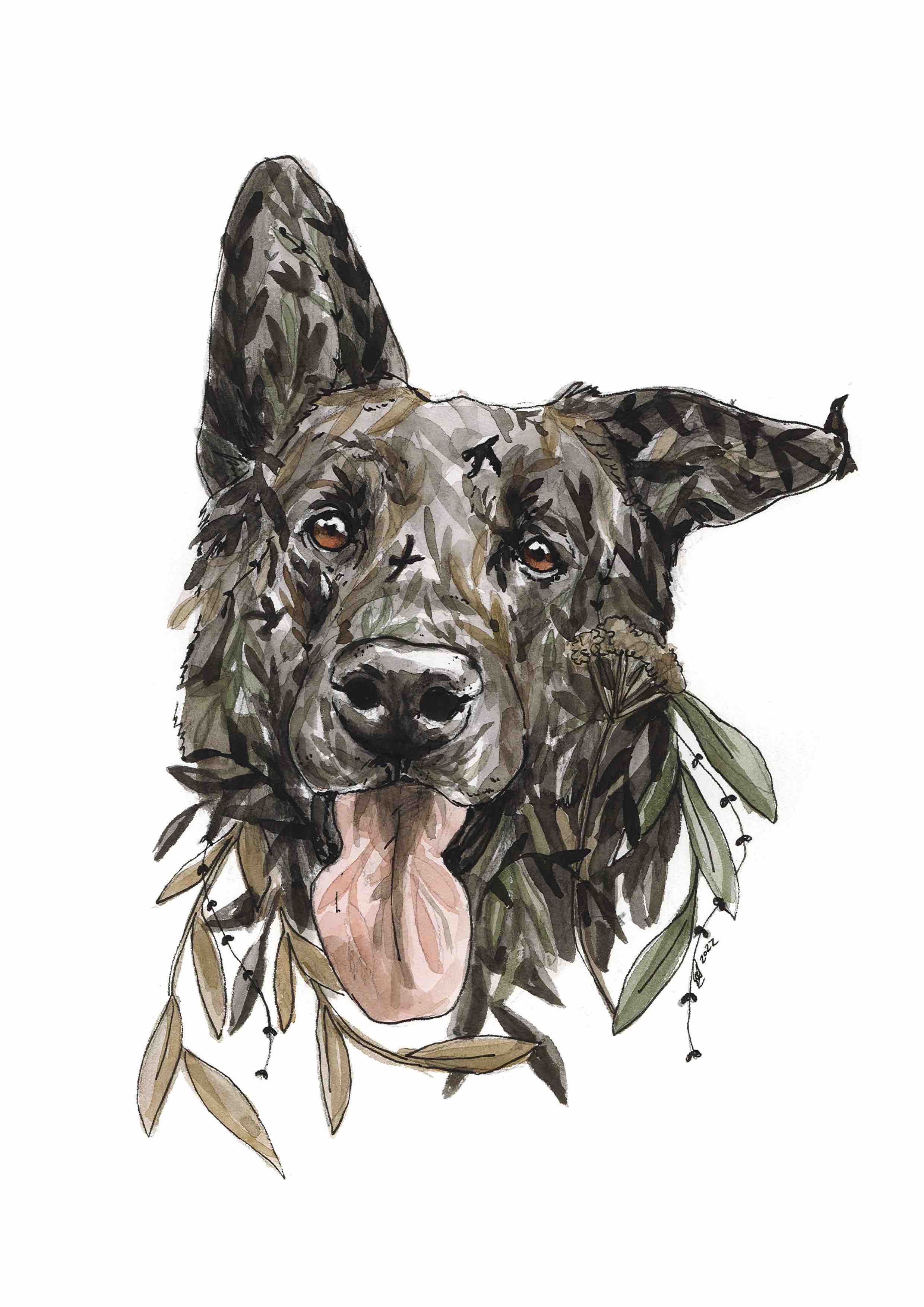 Pet portrait commision