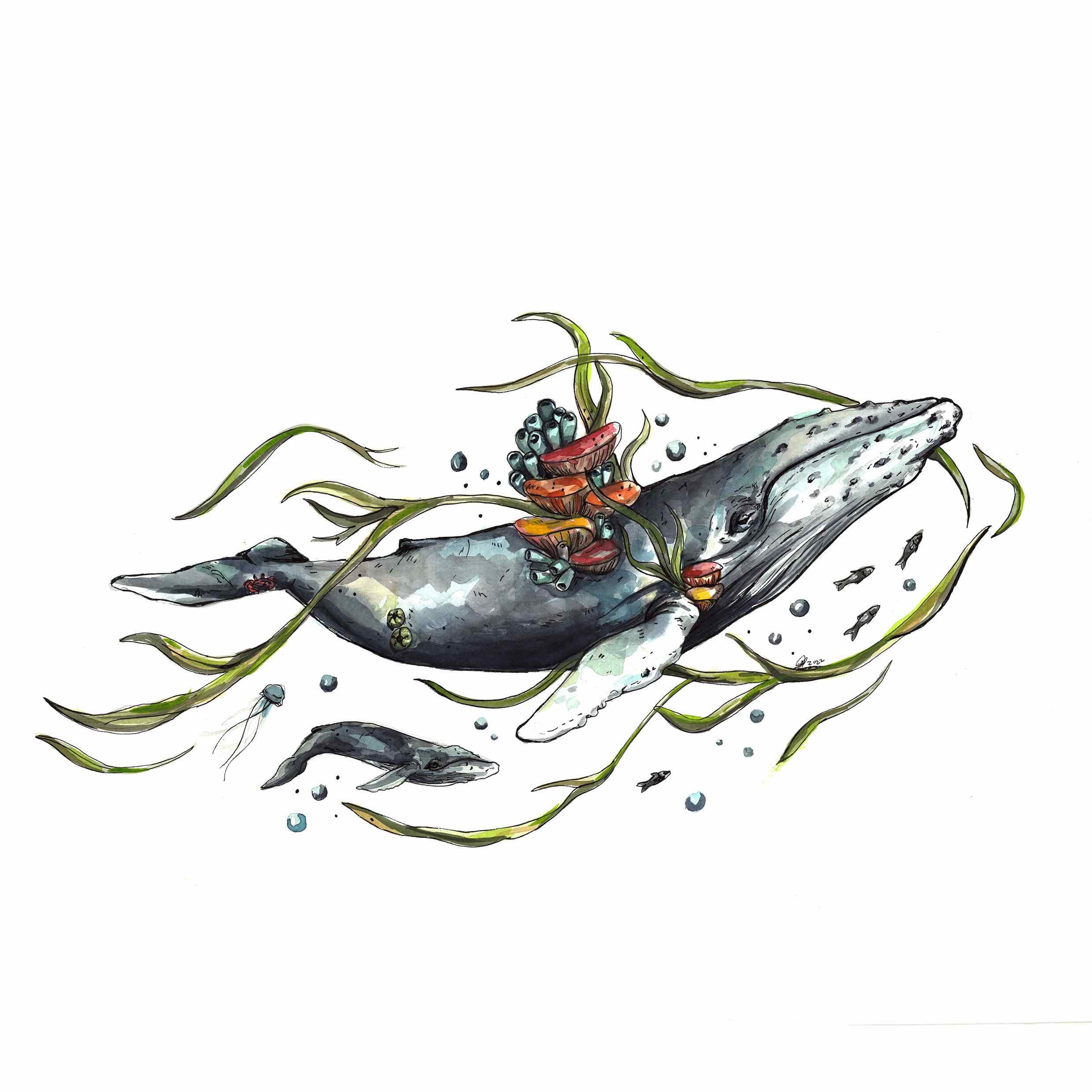 Diving deep