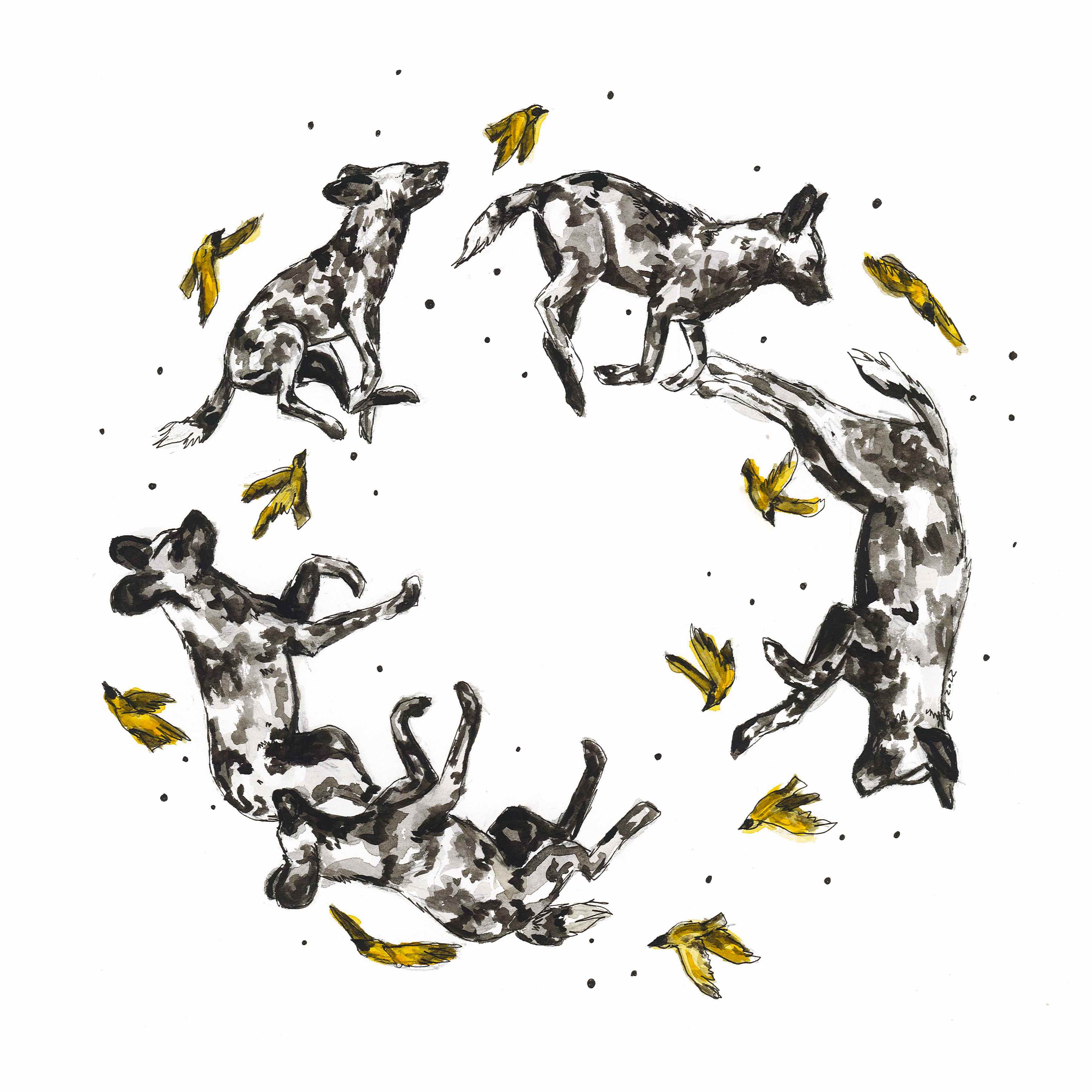 Runnining with painted wolves