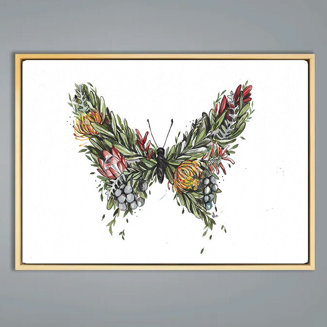 Fynbos butterfly