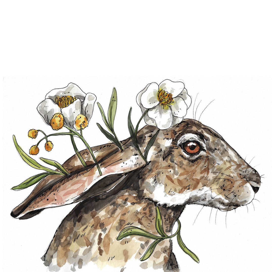 Blooming rabbit