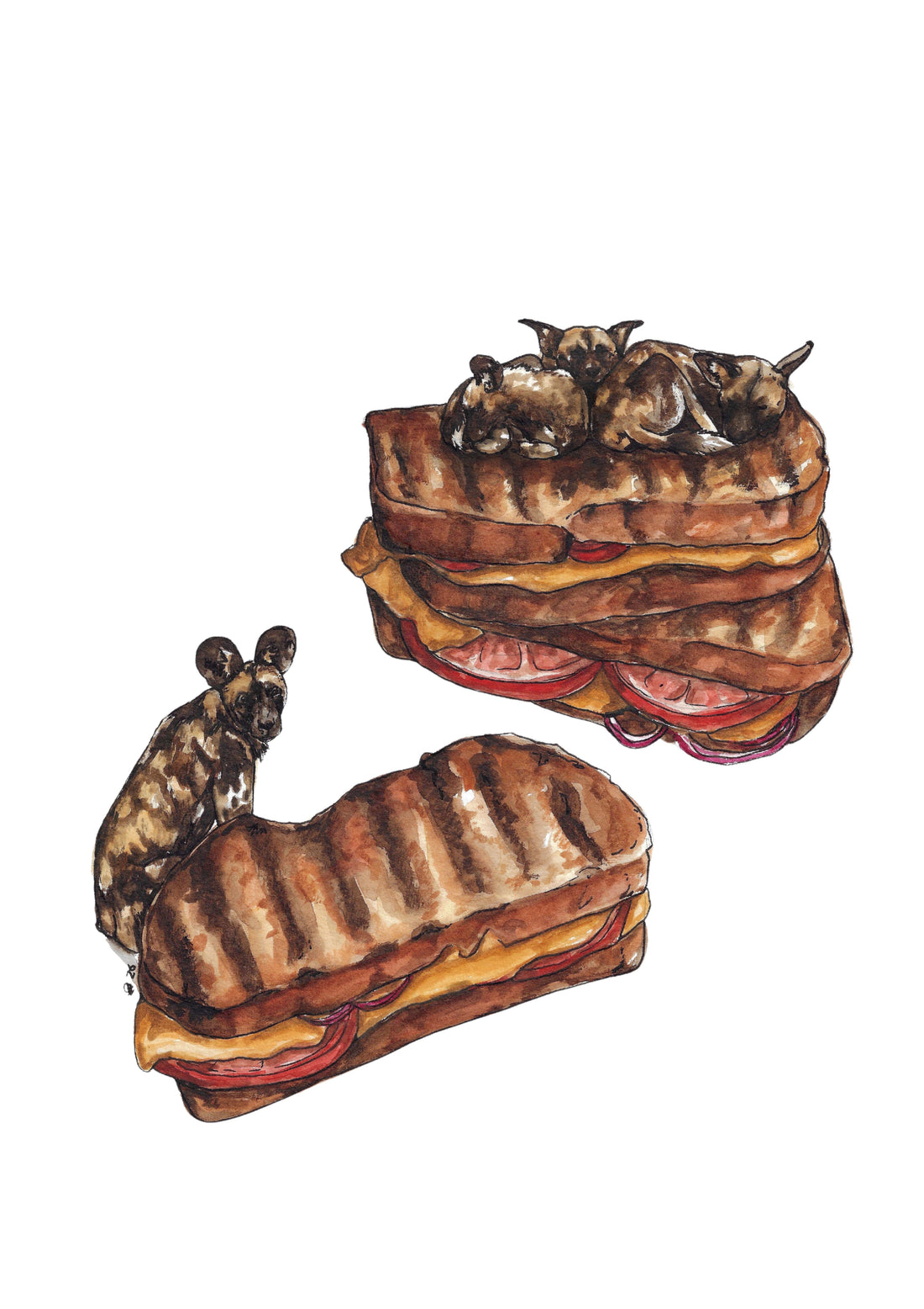 Braai Pack| A3