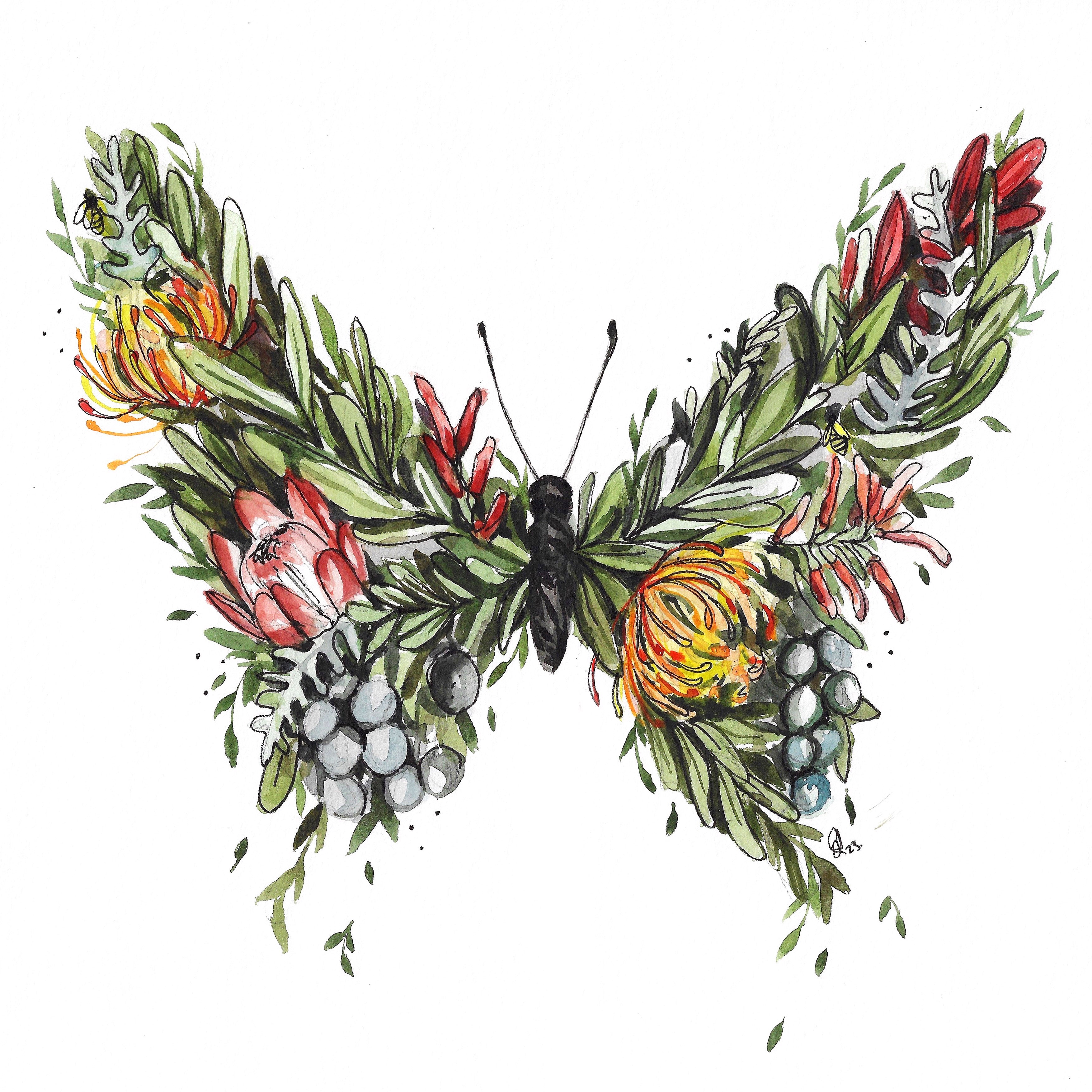 Fynbos butterfly 29,5cm x 29,5cm