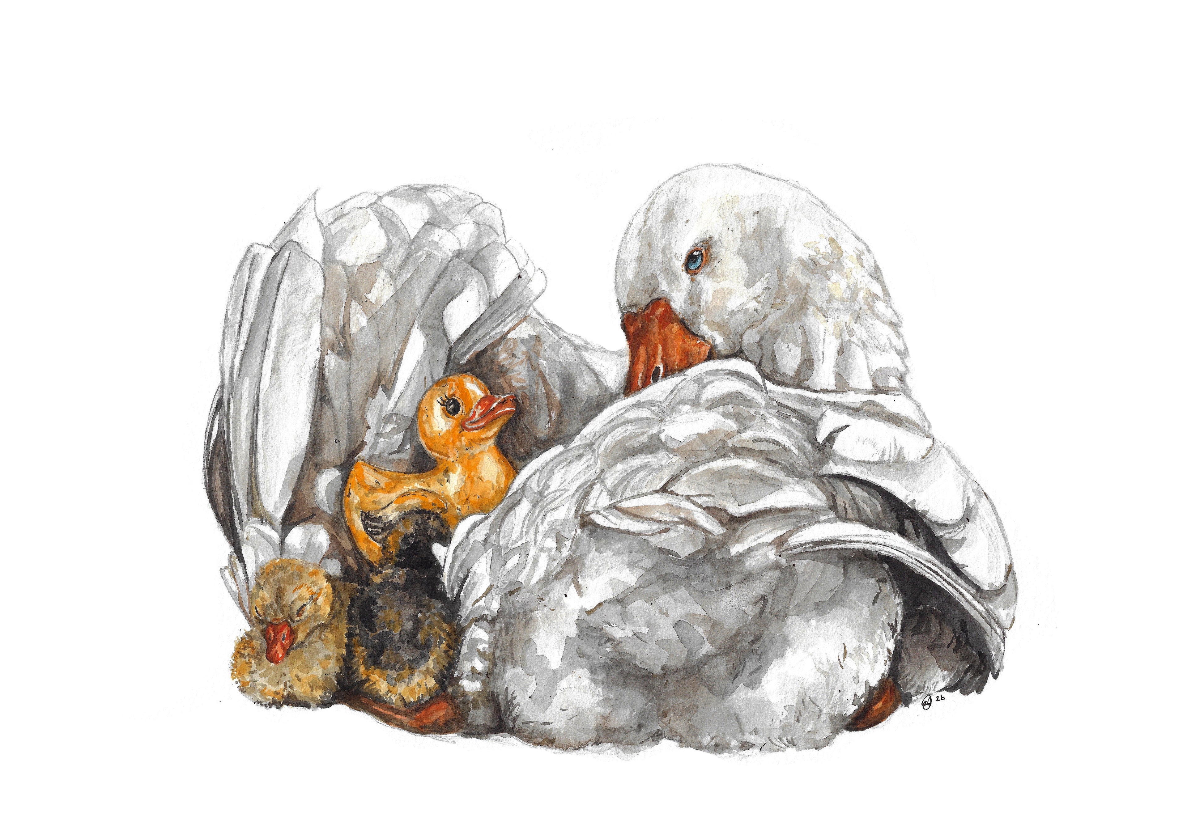 Carried by love | A3