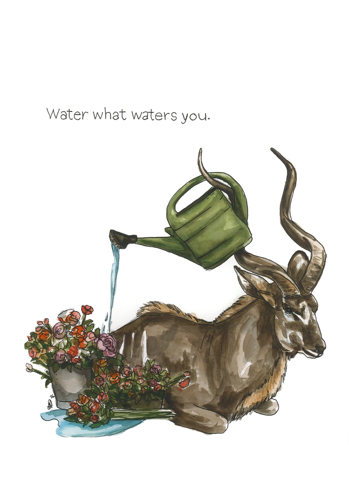 Water what waters you | A3