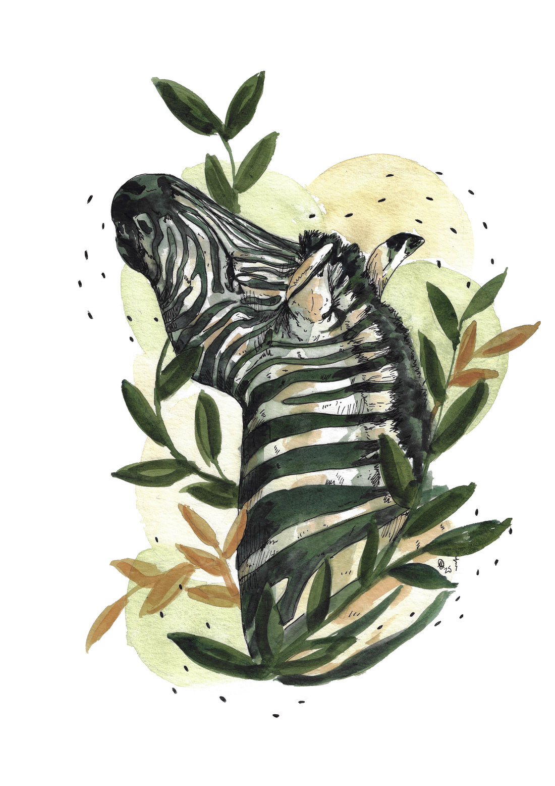 Curious stripes | A3