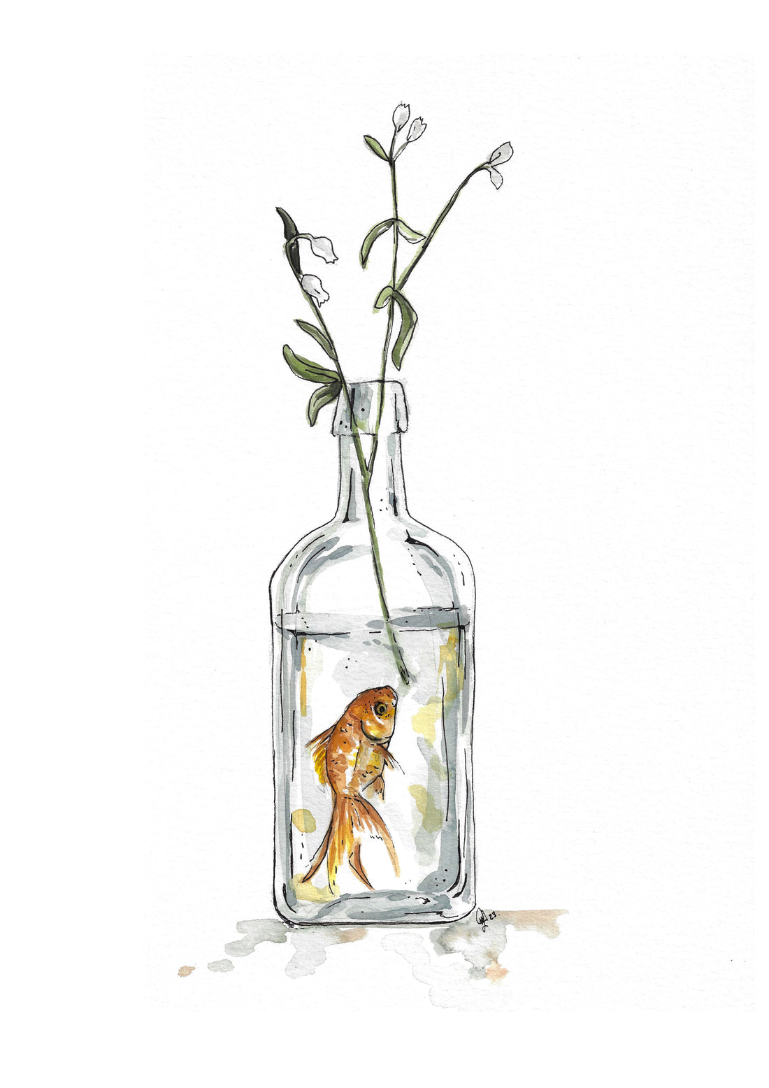 Fish in a bottle A3