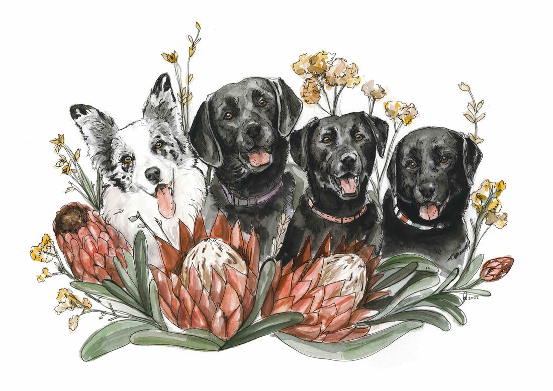 Commision of a family of dogs