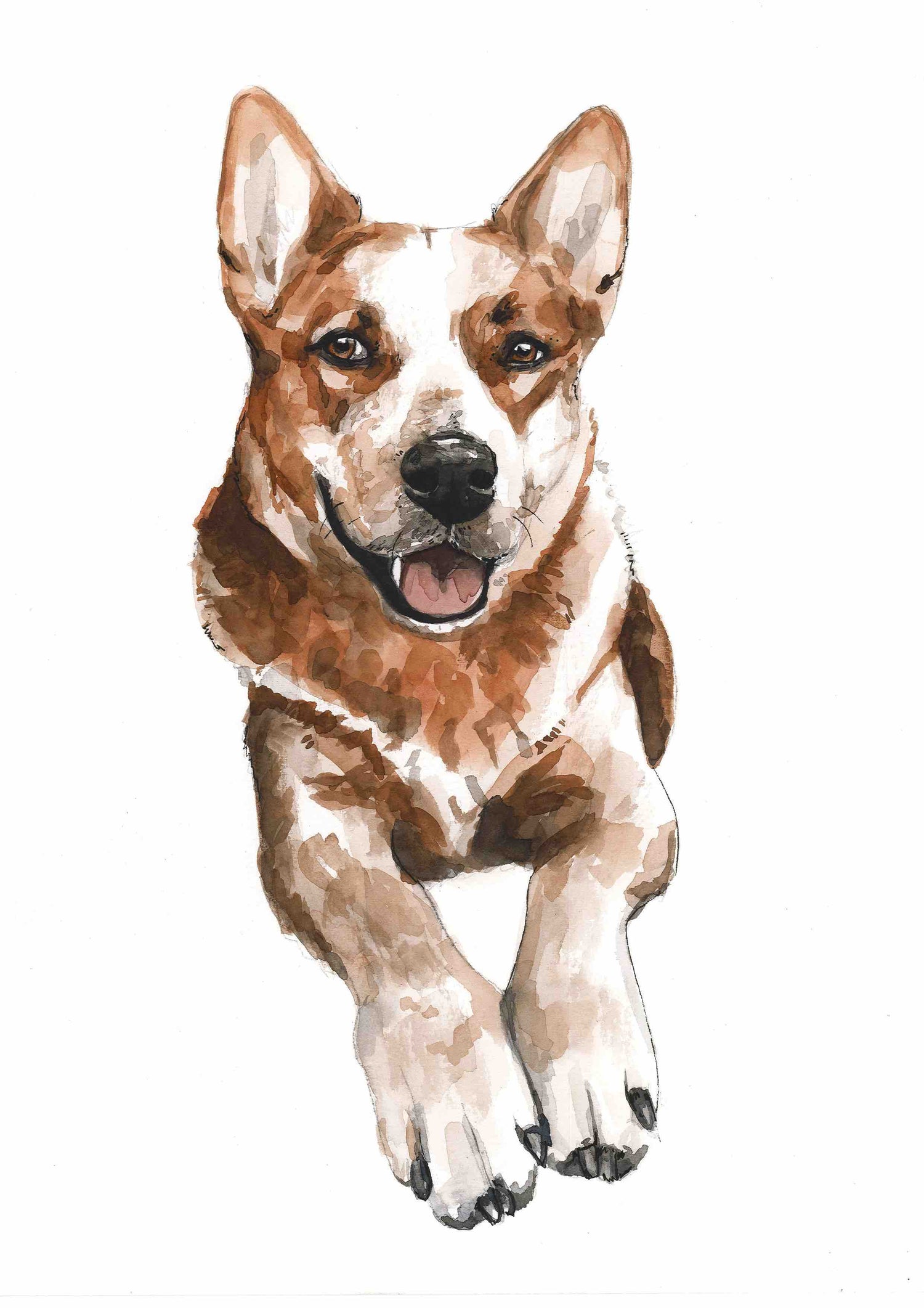 Pet portrait commision