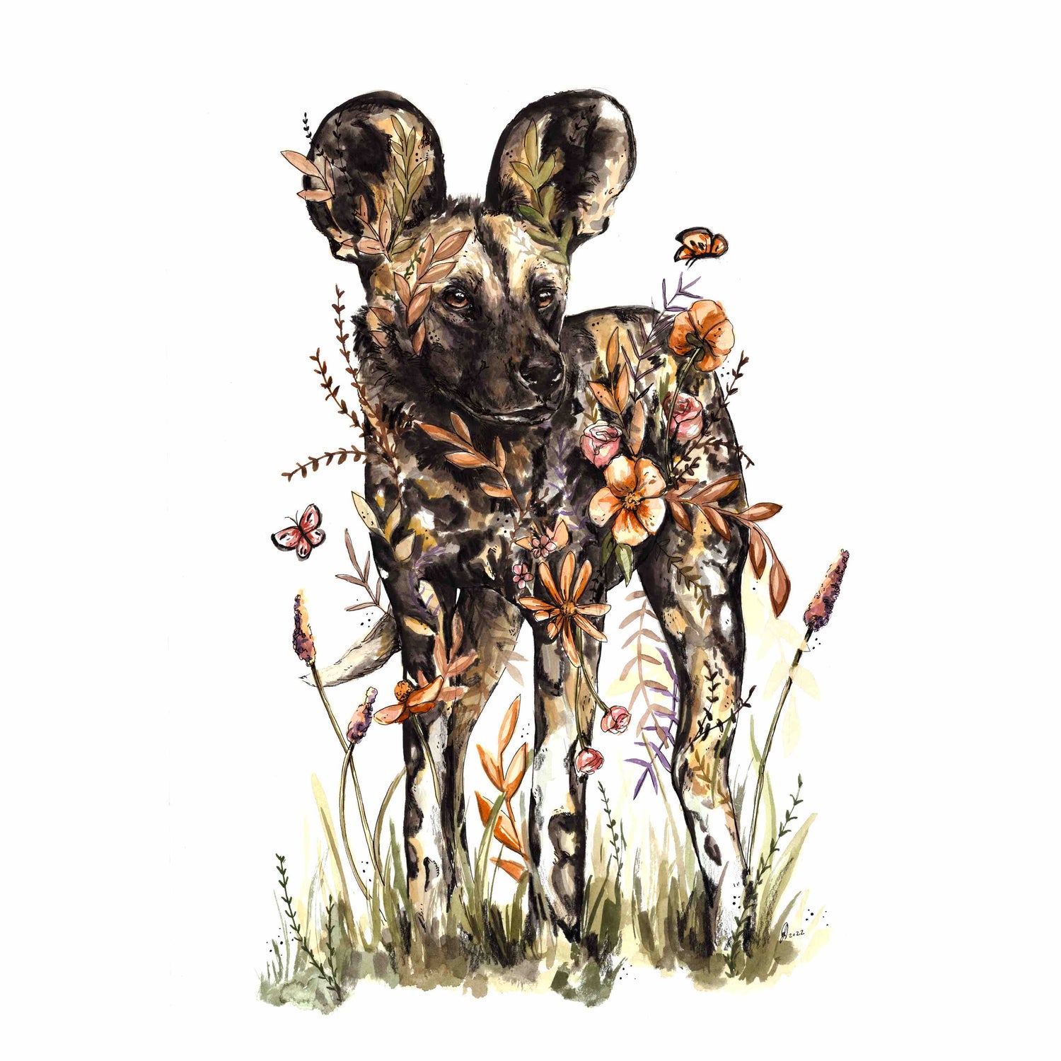 Painted wild dog